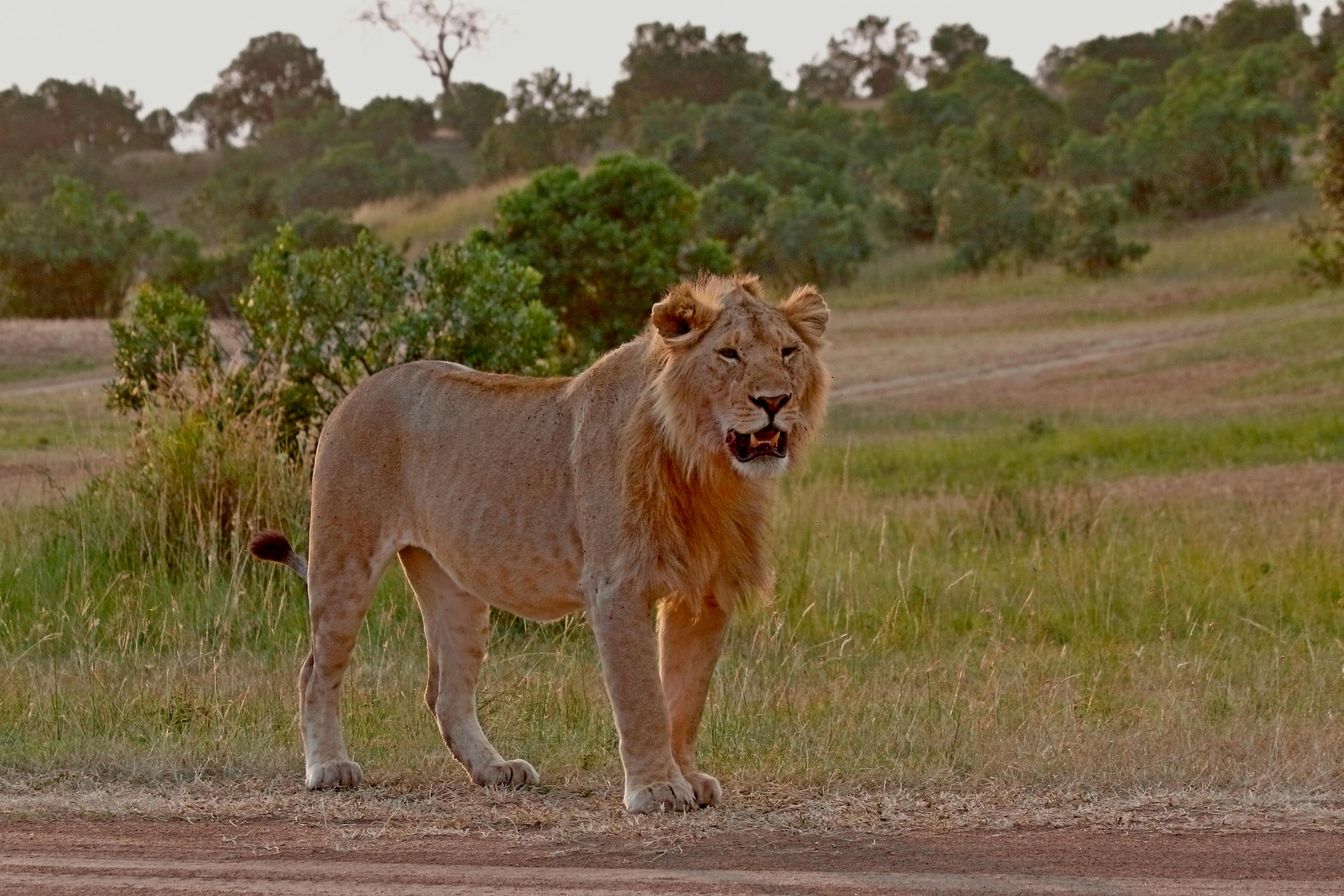 Africa adventure